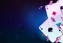 Cricbet99 Is Turning Into the Online Gaming Platform Players Don’t Want to Miss cricbet99