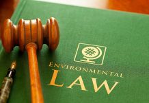 What Is Environmental Law Litigation in India and Why Is It Important? Environmental Law Litigation India