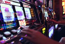 Understanding the Lotus 247 Exchange — A Beginner’s Guide to Back and Lay Betting Lotus 247